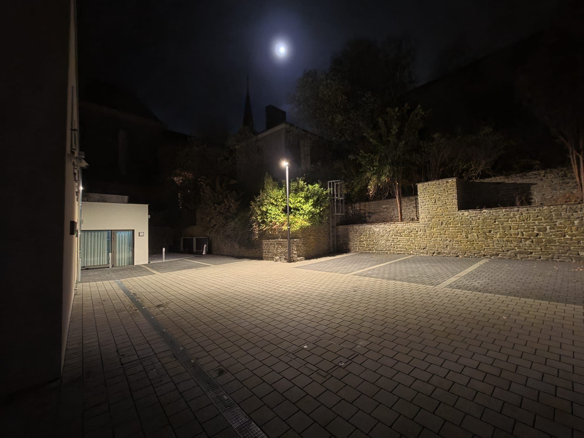 Éclairage extérieur de nuit, lampadaire et végétation mise en valeur